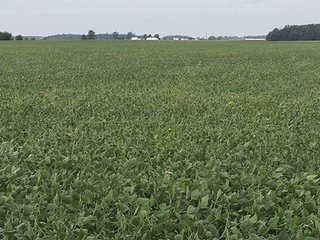 Property photo 21 - FARMLAND AUCTION - 436+/- ACRES IN 10 TRACTS IN AUGLAIZE COUNTY, OH